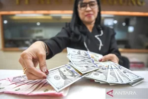 Rupiah Melemah, Ekonomi Indonesia Menghadapi Cabutan Dolar
