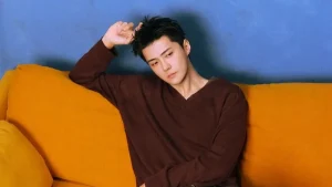 Sehun EXO Kolaborasi dengan Sion NCT WISH di Lagu Baru Mandarin 'Fade'