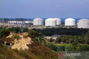 Sejumlah Perusahaan Mulai Lirik Hilirisasi Gas di KEK Arun, Prospek Cerah Bagi Perekonomian Lokal