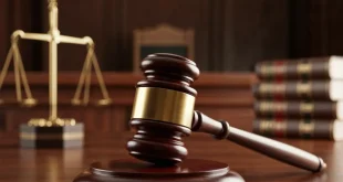 Sidang Pendiri CLOW: Penasihat Hukum Buka-bukaan Soal Inkonsistensi Pelapor Cacat Forensik hingga Nasib Ribuan Kucing