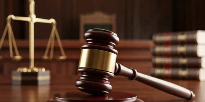 Sidang Pendiri CLOW: Penasihat Hukum Buka-bukaan Soal Inkonsistensi Pelapor Cacat Forensik hingga Nasib Ribuan Kucing