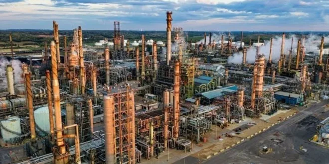 SRUK Resmi Diluncurkan Indef GTI Belum Cukup Dorong Pasar Karbon Domestik: Tantangan dan Peluang