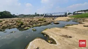 Sungai Cisadane Surut Warga Teriak Kesulitan Air: Dampak Musim Kemarau