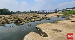 Sungai Cisadane Surut Warga Teriak Kesulitan Air: Dampak Musim Kemarau