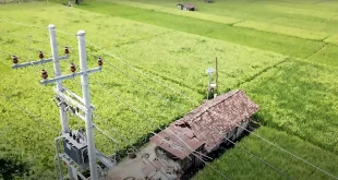 Tarif Listrik Juli - September 2026 Tak Naik, PLN Pastikan Pasokan Listrik Aman