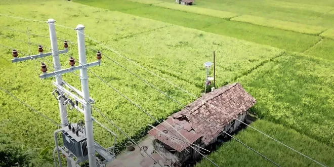 Tarif Listrik Juli - September 2026 Tak Naik, PLN Pastikan Pasokan Listrik Aman