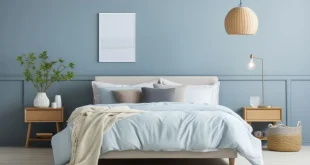Tidur Nyenyak dengan 5 Warna Kamar yang Tepat, Ingin Tidur Lebih Nyenyak Coba Gunakan 5 Warna Kamar Ini