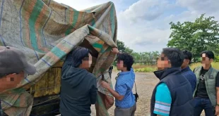 TNI AL Berhasil Menggagalkan Penyelundupan Timah di Pelabuhan Belitung