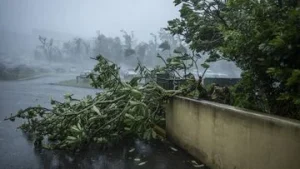 Topan Bavi Menghantam Jepang dan Taiwan: 1 200 Penerbangan Batal akibat Topan Bavi di Jepang-Taiwan