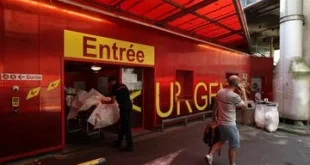 Tragedi di Paris: Gelombang Panas Ekstrem Mengakibatkan 2.000 Kematian dalam Sepekan