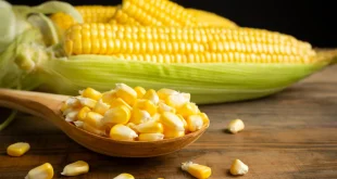 Turunkan Berat Badan dengan Jagung: 5 Keunggulan Jagung untuk Menu Harian