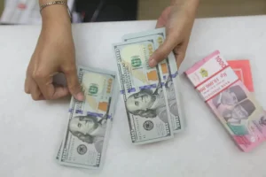 ULN Swasta Kontraksi, Indef: Korporasi Cenderung Konservatif di Tengah Ketidakpastian Global