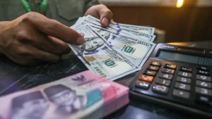 ULN Swasta Menyusut, Utang Pemerintah Melonjak 3,7%: Apa Penyebabnya?