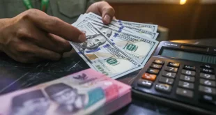 ULN Swasta Menyusut, Utang Pemerintah Melonjak 3,7%: Apa Penyebabnya?