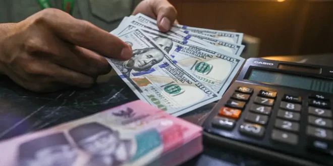 ULN Swasta Menyusut, Utang Pemerintah Melonjak 3,7%: Apa Penyebabnya?