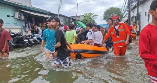 Viral Daratan Pekalongan Kini Lebih Rendah dari Laut, Rob Bergeser Ancam Permukiman Selatan - Ancaman Banjir Rob di Pekalongan: Apa Saja Penyebabnya?