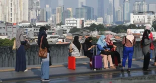 10 Penyakit yang Bisa Dipicu Polusi Udara: Asma, Stroke, dan Beberapa Penyakit Lain