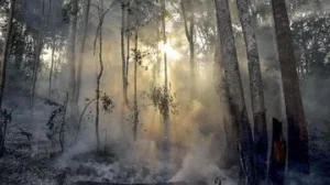 123 Hotspot Terindikasi Karhutla Terpantau di Riau, Apa yang Dilakukan?