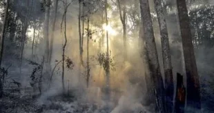 123 Hotspot Terindikasi Karhutla Terpantau di Riau, Apa yang Dilakukan?