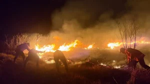 2 Titik Api Masih Menyala BNPB Ungkap Kendala Pemadaman Karhutla di Gunung Bromo, Upaya Pemadaman Terus Dilakukan