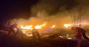2 Titik Api Masih Menyala BNPB Ungkap Kendala Pemadaman Karhutla di Gunung Bromo, Upaya Pemadaman Terus Dilakukan