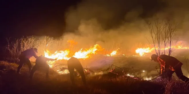 2 Titik Api Masih Menyala BNPB Ungkap Kendala Pemadaman Karhutla di Gunung Bromo, Upaya Pemadaman Terus Dilakukan