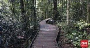 Australia Siapkan Taman Nasional Baru, Menawarkan Pengalaman Alam yang Luar Biasa