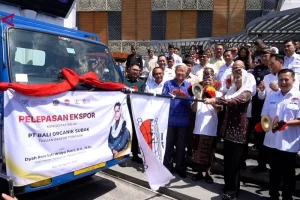 Bali Ekspor 3.5 Ton Salak Gula Pasir ke China, Meningkatkan Ekonomi Lokal