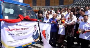 Bali Ekspor 3.5 Ton Salak Gula Pasir ke China, Meningkatkan Ekonomi Lokal