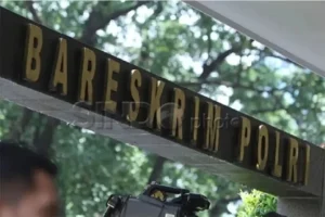Bareskrim Ikut Usut Kasus Tambang Timah Ilegal di Belitung: Aktor dan Pendana dalam Sorotan