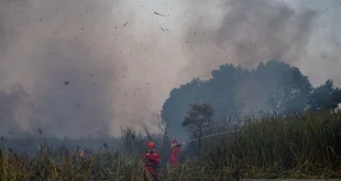 Begini Kondisi Terkini Kebakaran Lahan Menjelang Malam di Arisan Jaya Ogan Ilir: Upaya Pemadaman