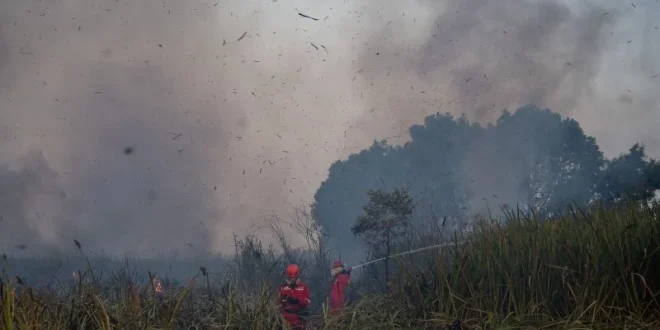 Begini Kondisi Terkini Kebakaran Lahan Menjelang Malam di Arisan Jaya Ogan Ilir: Upaya Pemadaman