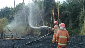 BNPB Catat Karhutla di Sumut hingga Jateng, Pendakian Gunung Gede Ditutup Sementara