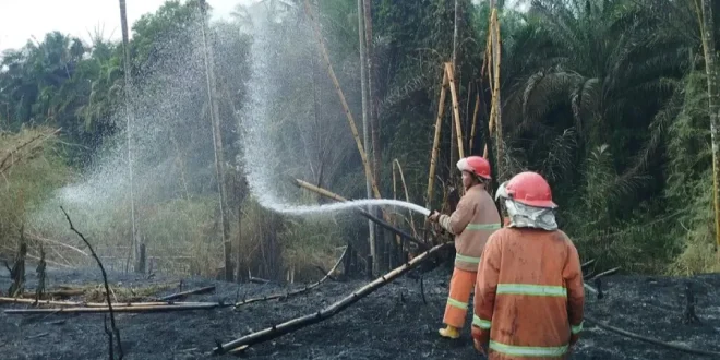 BNPB Catat Karhutla di Sumut hingga Jateng, Pendakian Gunung Gede Ditutup Sementara