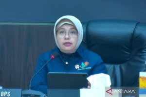 BPS Penurunan IPH Terjadi di 21 Provinsi pada Awal Agustus 2026: Tren Ekonomi yang Perlu Diperhatikan