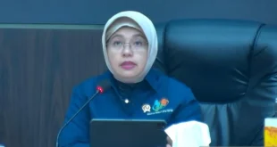 BPS Penurunan IPH Terjadi di 21 Provinsi pada Awal Agustus 2026: Tren Ekonomi yang Perlu Diperhatikan