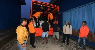 BULOG Gerak Cepat Menyelamatkan Warga NTT dari Bencana Gempa Bumi
