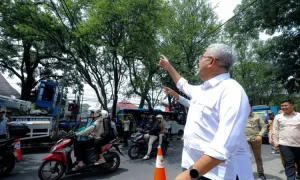 Dedi Mulyadi Sentil Kelalaian Pemkot Bandung Soal Penebangan Pohon Liar di Jalan RE Marthadinata
