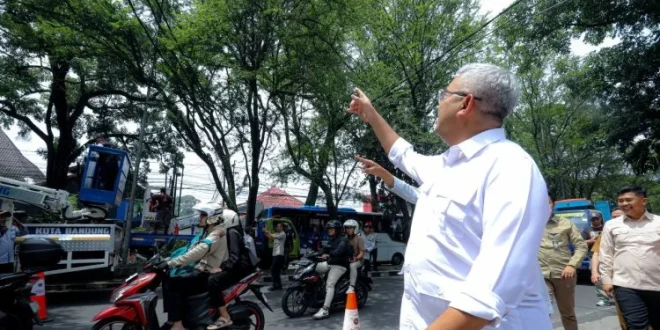 Dedi Mulyadi Sentil Kelalaian Pemkot Bandung Soal Penebangan Pohon Liar di Jalan RE Marthadinata