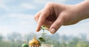 Edukasi Keuangan Syariah: Dukung OJK dan AAJI untuk Generasi Muda