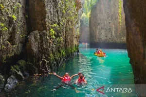 Eksotis Bahari Maratua: Simbol Kekayaan Alam Nusantara