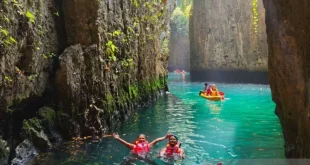 Eksotis Bahari Maratua: Simbol Kekayaan Alam Nusantara
