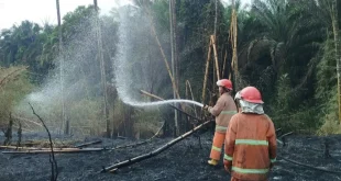 El Nino Sangat Kuat Diprediksi Terjadi 2026, Pemerintah Ingatkan Bahaya Pembukaan Lahan