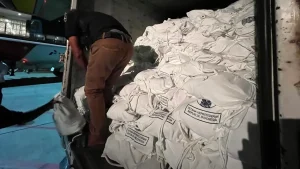 Flores NTT Diguncang Gempa Kepala BNPB Instruksikan 8 Aksi Cepat Ini untuk Tangani Bencana