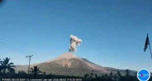 Gunung Lewotobi Alami Erupsi Semburkan Kolom Abu Sampai 1 000 Meter, Masyarakat Diminta Waspada
