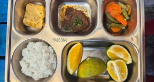 Guru Besar IPB Sarankan BGN Buat Menu Lokal MBG dengan Anggaran Rp 7.000 untuk Meningkatkan Efisiensi dan Kualitas Gizi