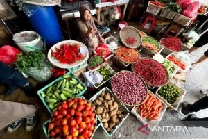 Harga Cabai Rawit dan Telur Ayam Mencatat Rekor Tinggi di Indonesia