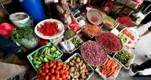 Harga Cabai Rawit dan Telur Ayam Mencatat Rekor Tinggi di Indonesia