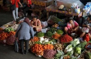 Harga Pangan Naik Drastis, Warga Harus Siapkan Dirinya untuk Menghadapi Kenaikan Biaya Pangan