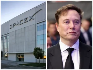 Harvard kantongi saham SpaceX Rp 39,2 triliun, raup cuan dari Elon Musk